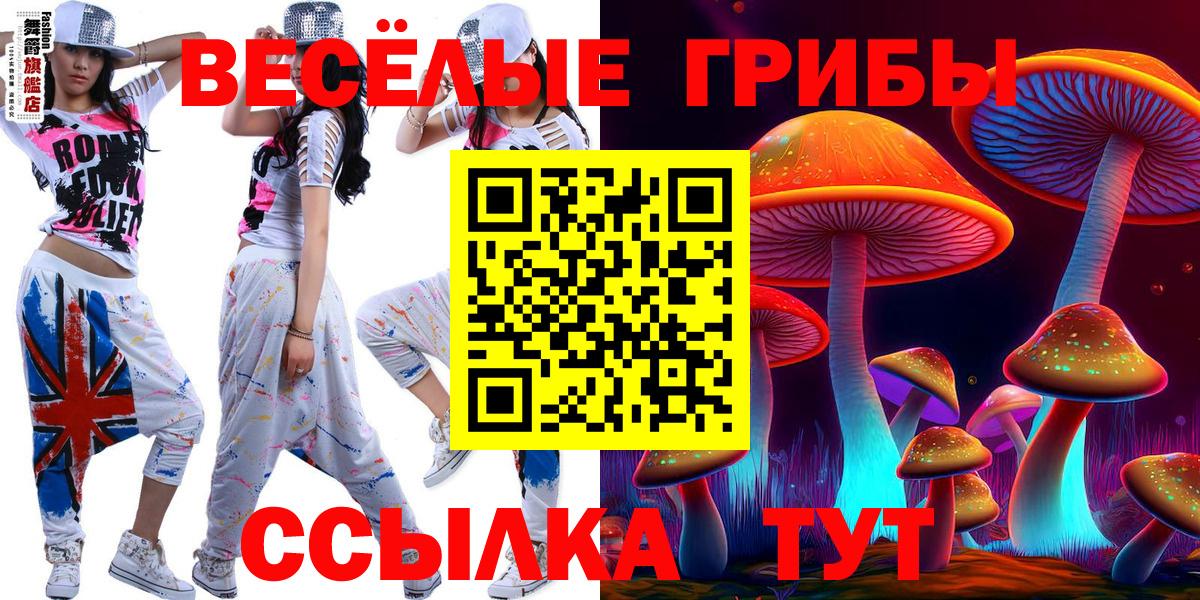 Псилоцибиновые грибы Psilocybine cubensis  Вход с VPN  Артём 