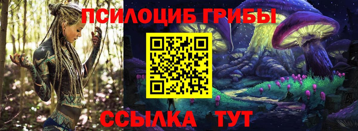 Псилоцибиновые грибы Cubensis Артём